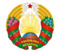 Спортивные мероприятия с участием Президента